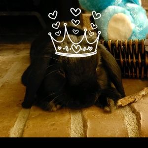 Meet your Posher, Kristen